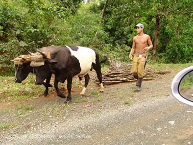 2010 Cuba, Chivirico - Baracoa, DSC09978b_B740